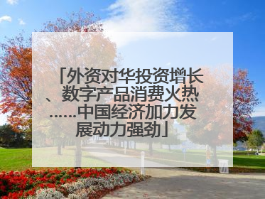 外资对华投资增长、数字产品消费火热……中国经济加力发展动力强劲
