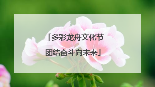 多彩龙舟文化节 团结奋斗向未来
