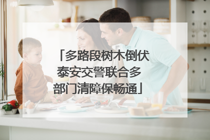 多路段树木倒伏 泰安交警联合多部门清障保畅通