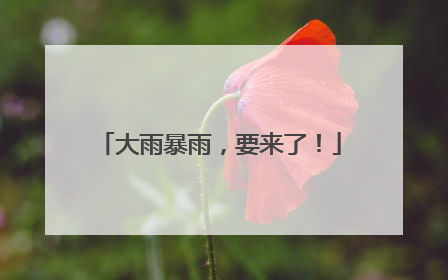 大雨暴雨，要来了！