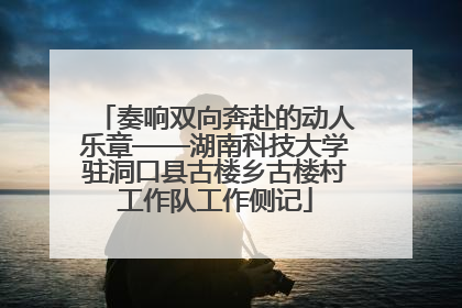 奏响双向奔赴的动人乐章——湖南科技大学驻洞口县古楼乡古楼村工作队工作侧记