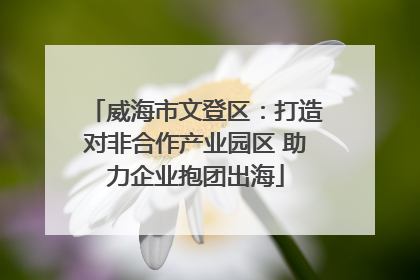 威海市文登区：打造对非合作产业园区 助力企业抱团出海