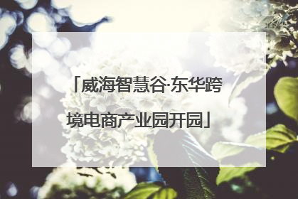 威海智慧谷·东华跨境电商产业园开园