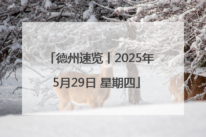 德州速览丨2025年5月29日 星期四
