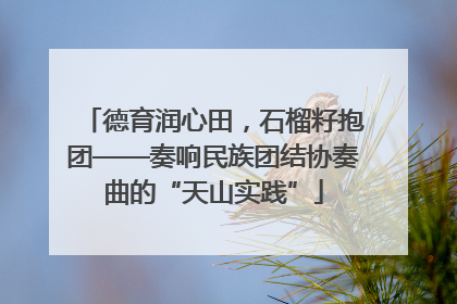 德育润心田，石榴籽抱团——奏响民族团结协奏曲的“天山实践”