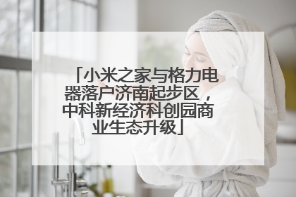 小米之家与格力电器落户济南起步区，中科新经济科创园商业生态升级