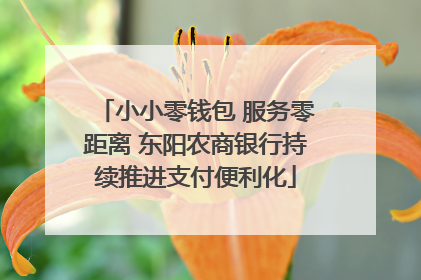 小小零钱包 服务零距离 东阳农商银行持续推进支付便利化