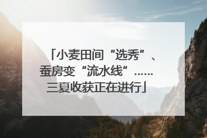 小麦田间“选秀”、蚕房变“流水线”……三夏收获正在进行