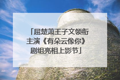 屈楚萧王子文领衔主演《有朵云像你》剧组亮相上影节