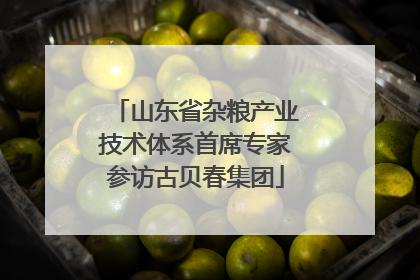 山东省杂粮产业技术体系首席专家参访古贝春集团