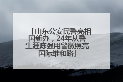 山东公安民警亮相国新办，24年从警生涯陈强用警徽照亮国际维和路