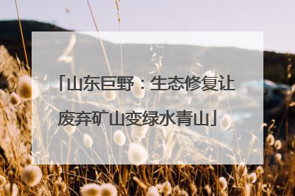 山东巨野：生态修复让废弃矿山变绿水青山