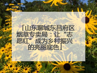 山东聊城东昌府区烟草专卖局：让“志愿红”成为乡村振兴的亮丽底色