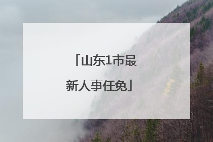 山东1市最新人事任免
