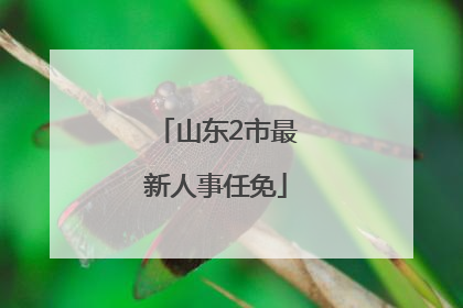 山东2市最新人事任免