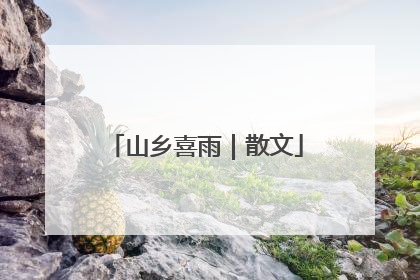 山乡喜雨｜散文