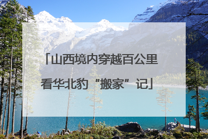 山西境内穿越百公里 看华北豹“搬家”记
