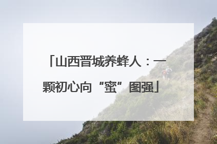 山西晋城养蜂人：一颗初心向“蜜”图强