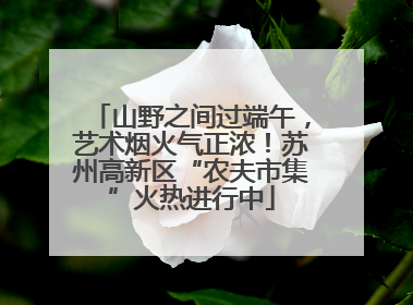山野之间过端午，艺术烟火气正浓！苏州高新区“农夫市集”火热进行中