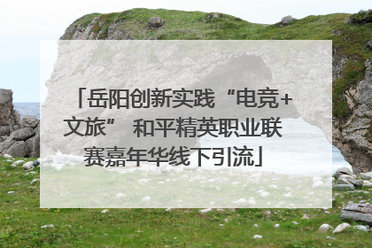 岳阳创新实践“电竞+文旅” 和平精英职业联赛嘉年华线下引流
