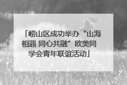 崂山区成功举办“山海相遇 同心共融”欧美同学会青年联谊活动
