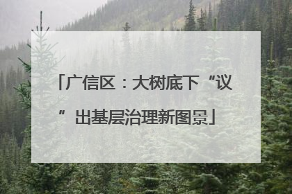 广信区：大树底下“议”出基层治理新图景