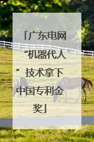 广东电网“机器代人”技术拿下中国专利金奖