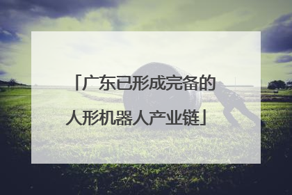 广东已形成完备的人形机器人产业链