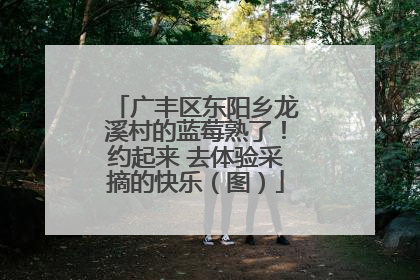 广丰区东阳乡龙溪村的蓝莓熟了！约起来 去体验采摘的快乐（图）