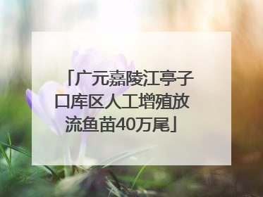 广元嘉陵江亭子口库区人工增殖放流鱼苗40万尾