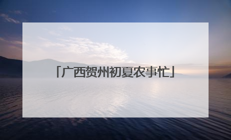 广西贺州初夏农事忙