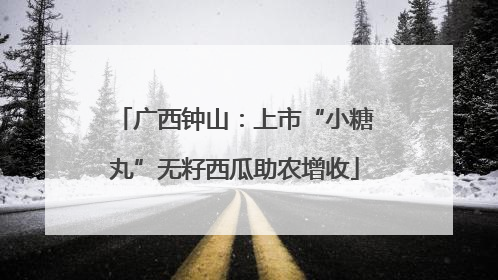 广西钟山：上市“小糖丸”无籽西瓜助农增收