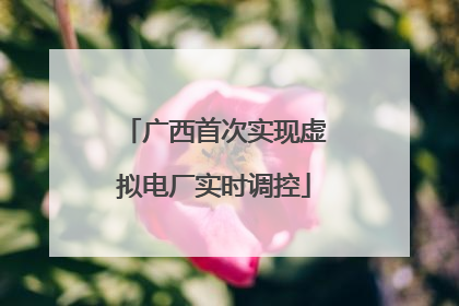 广西首次实现虚拟电厂实时调控