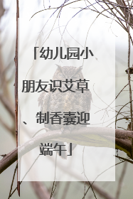 幼儿园小朋友识艾草、制香囊迎端午