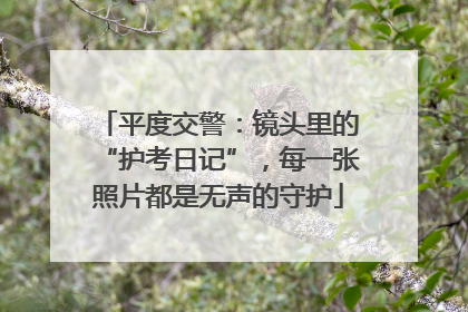 平度交警：镜头里的“护考日记”，每一张照片都是无声的守护