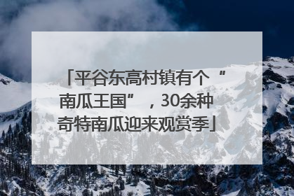 平谷东高村镇有个“南瓜王国”，30余种奇特南瓜迎来观赏季