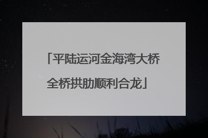 平陆运河金海湾大桥全桥拱肋顺利合龙