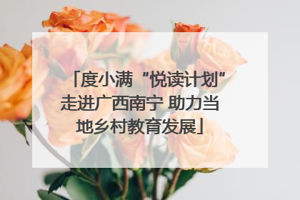 度小满“悦读计划”走进广西南宁 助力当地乡村教育发展