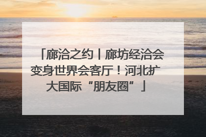 廊洽之约丨廊坊经洽会变身世界会客厅！河北扩大国际“朋友圈”
