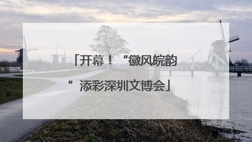开幕！“徽风皖韵”添彩深圳文博会