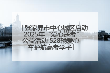 张家界市中心城区启动2025年“爱心送考”公益活动 528辆爱心车护航高考学子