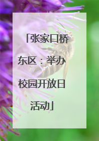 张家口桥东区：举办校园开放日活动