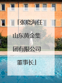 张晓海任山东黄金集团有限公司董事长