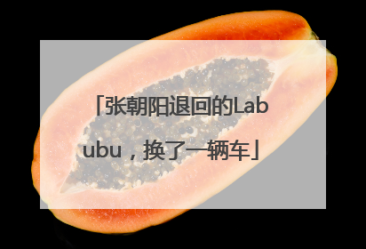 张朝阳退回的Labubu，换了一辆车