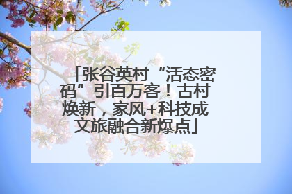 张谷英村“活态密码”引百万客！古村焕新，家风+科技成文旅融合新爆点