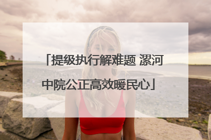 提级执行解难题 漯河中院公正高效暖民心