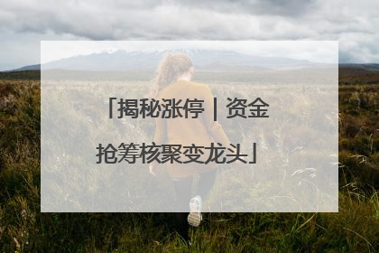 揭秘涨停｜资金抢筹核聚变龙头