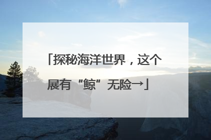 探秘海洋世界，这个展有“鲸”无险→