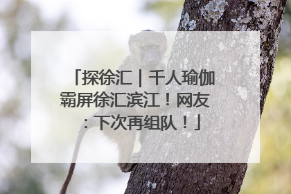 探徐汇｜千人瑜伽霸屏徐汇滨江！网友：下次再组队！
