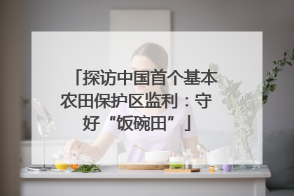 探访中国首个基本农田保护区监利：守好“饭碗田”